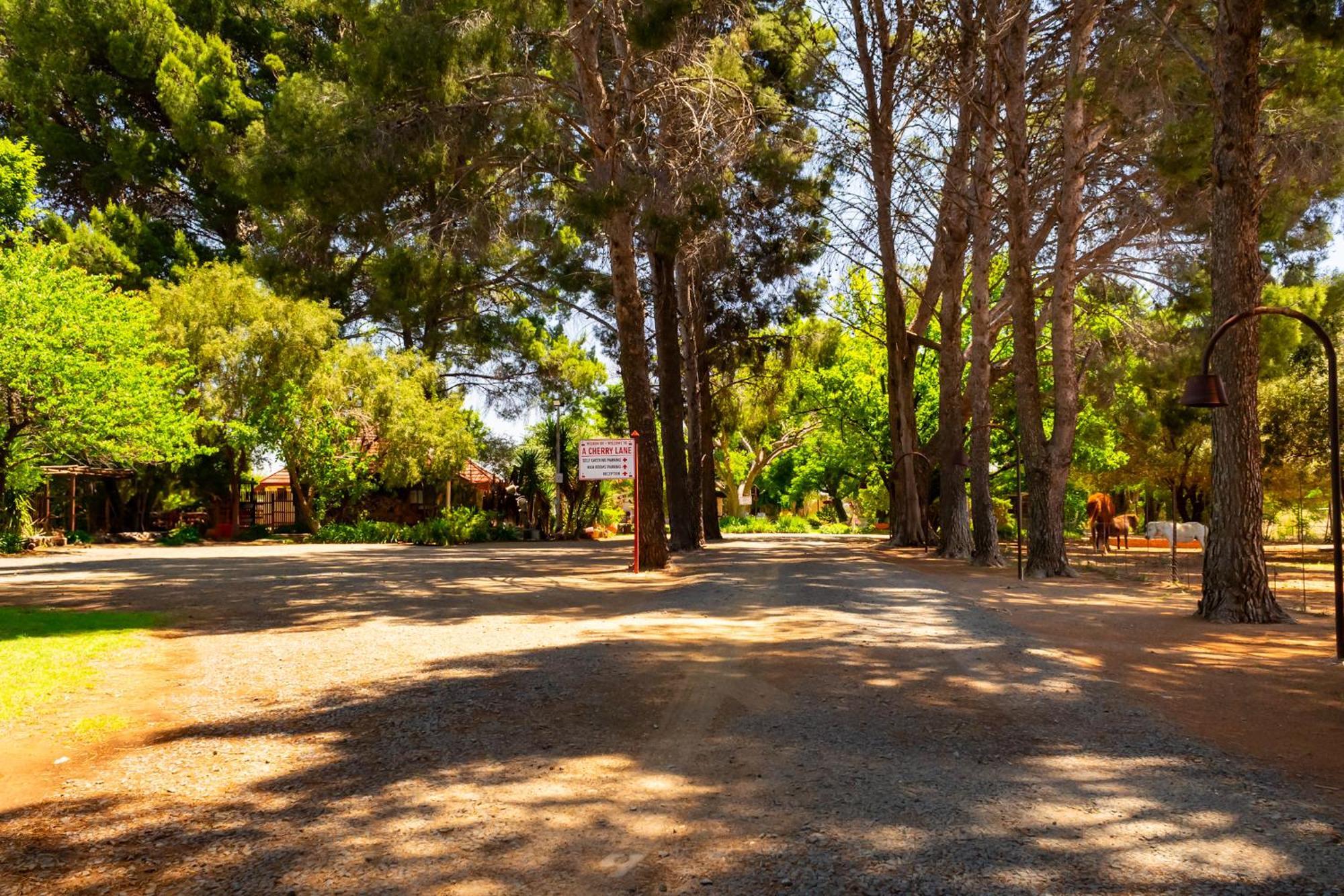 A Cherry Lane Self Catering And B&B Bloemfontein Exterior foto